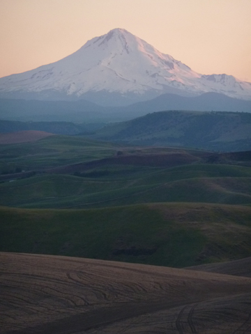 2011_midjune_mthood