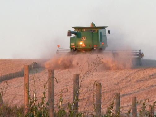 dusk_harvest_web