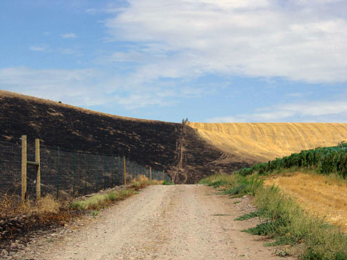range_fire_web