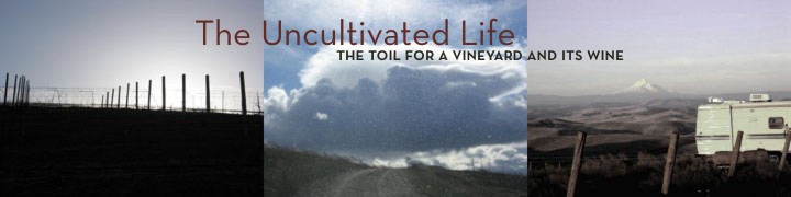 The Uncultivated Life